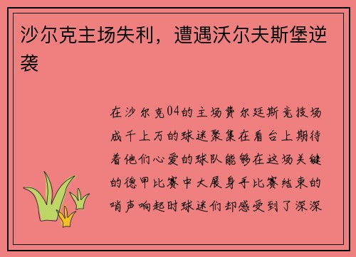 沙尔克主场失利，遭遇沃尔夫斯堡逆袭