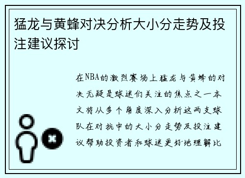 猛龙与黄蜂对决分析大小分走势及投注建议探讨