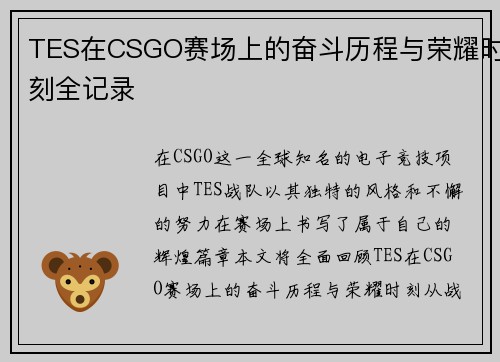 TES在CSGO赛场上的奋斗历程与荣耀时刻全记录