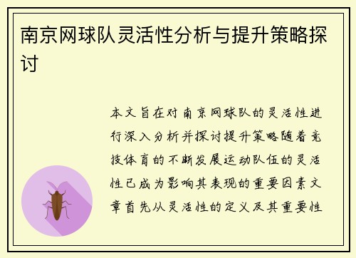 南京网球队灵活性分析与提升策略探讨