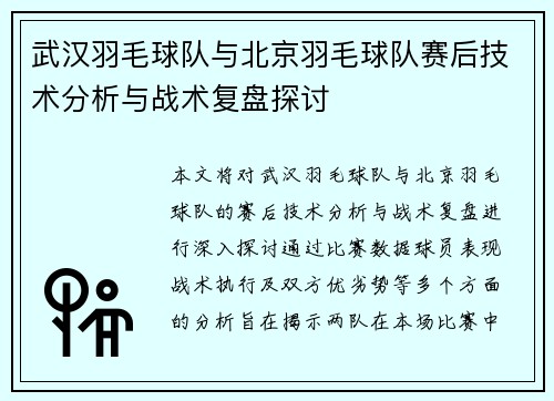 武汉羽毛球队与北京羽毛球队赛后技术分析与战术复盘探讨